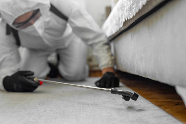 Professional Bed Bug Control technician working in Euclid, OH