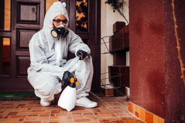Reliable Bed Bug Control contractor in Euclid, OH by Nex Pest Control